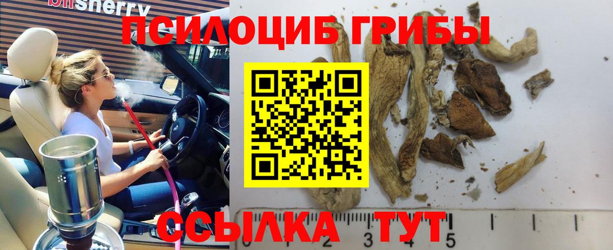 Псилоцибиновые грибы мицелий Тобольск